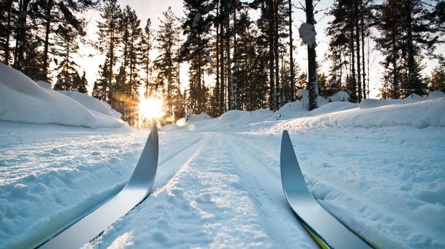 Ouverture des sentiers de ski de fond – Accès GRATUIT!