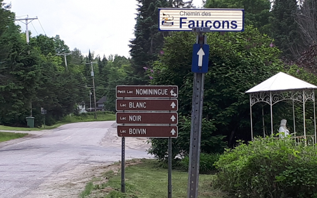 Travaux majeurs sur le chemin des Faucons