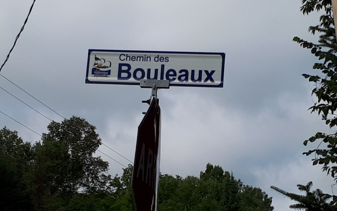 Travaux majeurs sur le chemin des Bouleaux