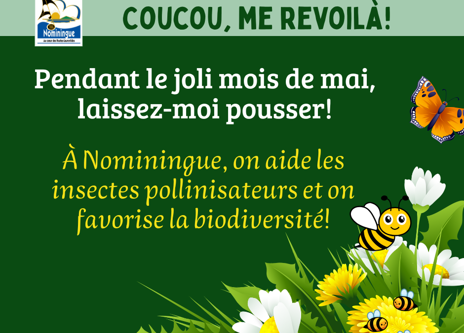 Coucou me revoilà!