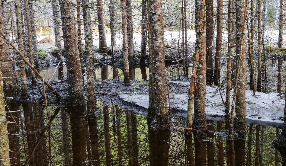 CRUE PRINTANIÈRE – 14 avril 2026 – 18 h 15 – AVIS À LA POPULATION