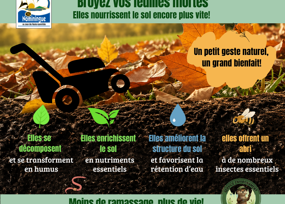 Broyez vos feuilles mortes!